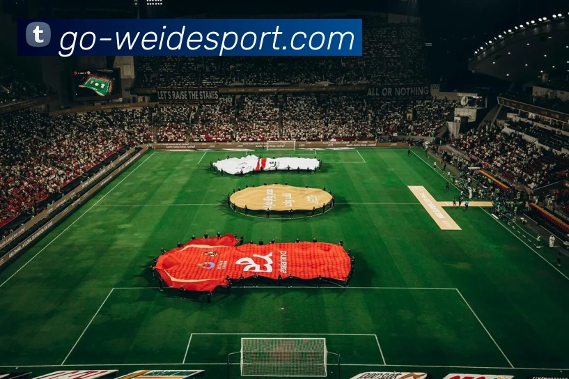 伟德体育服务体系